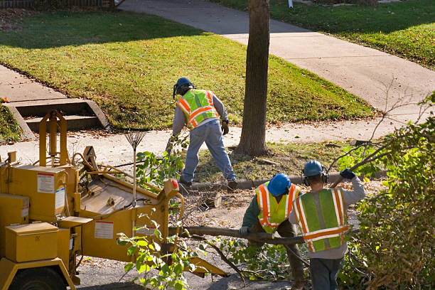 Best Commercial Tree Services  in Center Hill, FL